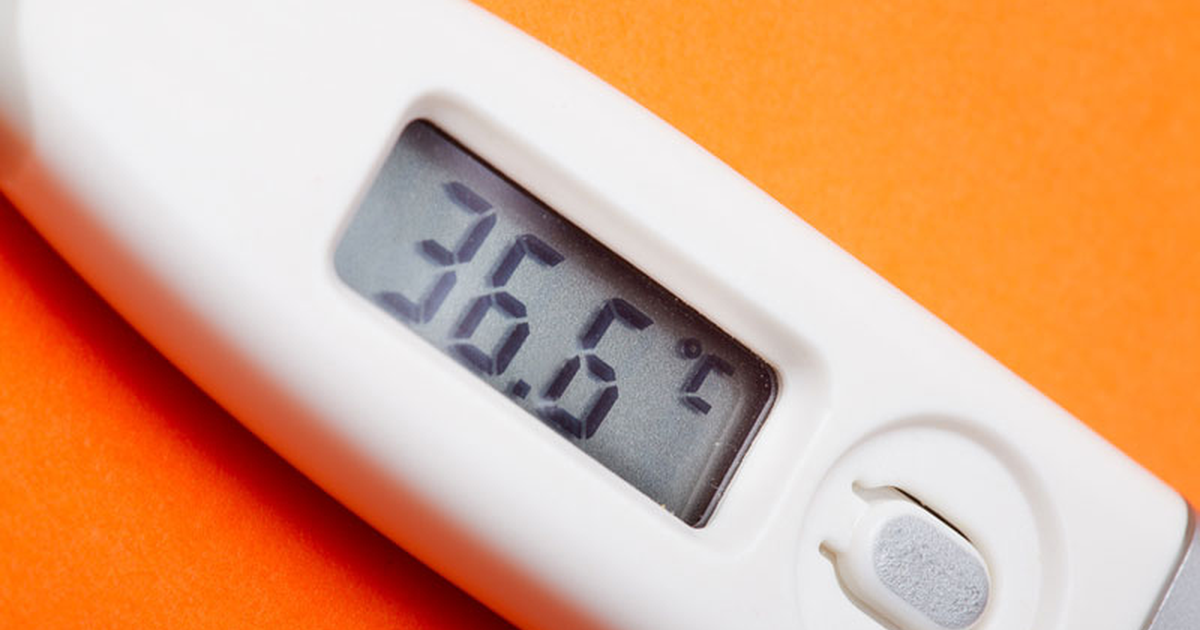 Почему температура человека именно 36,6 °C
