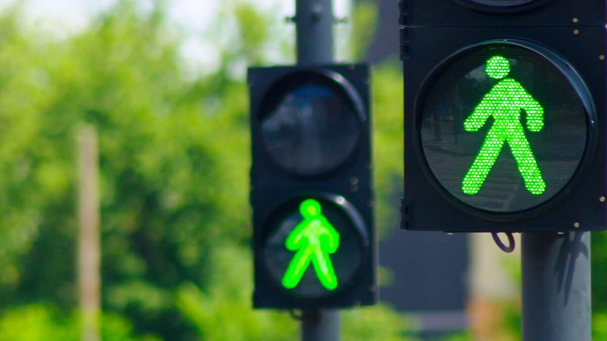 «Законы Земли обетованной»: вещи, которые находятся под запретом в Израиле