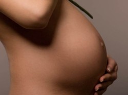Чем опасно для плода первичное инфицирование беременной женщины токсоплазмой?