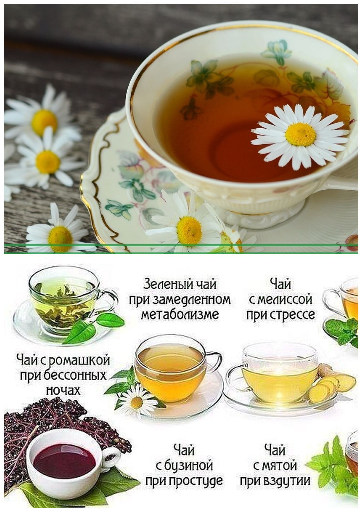 Что можно вместо чая. Травяной чай. Чай из трав. Травяные чаи рецепты. Рецепты из лекарственных растений.