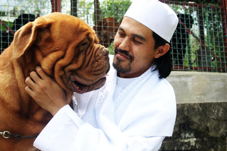 Почему собака считается. Собака в Исламе. Собака мусульманин. Мусульманские породы собак. Собака Шейх.