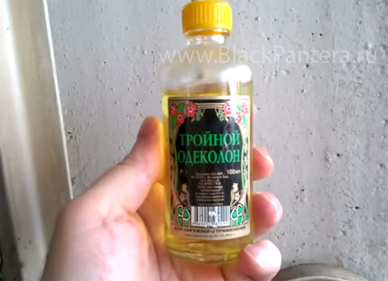Настойка для лечения радикулита