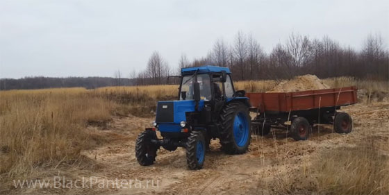 Пояс из собачьей шерсти способен творить чудеса с больной спиной