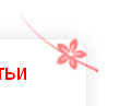 Цветок с сайта www.ademau.kz