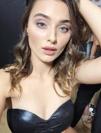     ,   , 