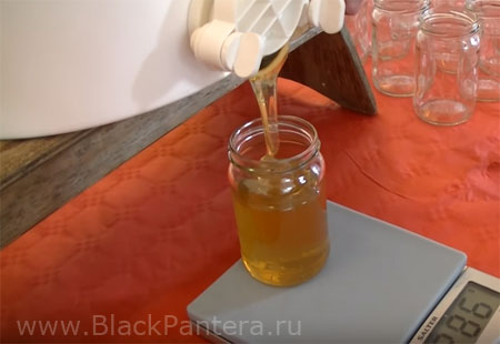 Одна ложка меда во время диеты спасет от проблем со здоровьем Одна ложка меда во время диеты спасет от проблем со здоровьем