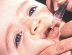 Какая вакцина от полиомиелита эффективнее, пероральная или инактивированная? Какая вакцина от полиомиелита эффективнее, пероральная или инактивированная?