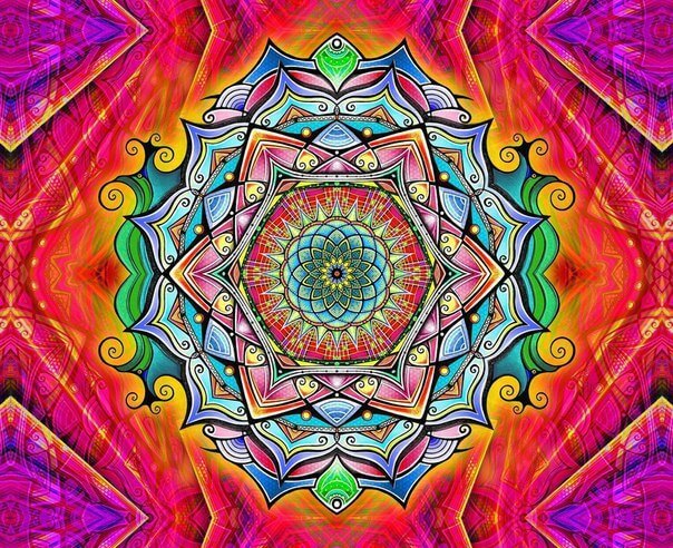 :       ,  ,  