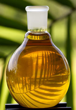 Пальмовое масло убивает клетки рака молочной железы