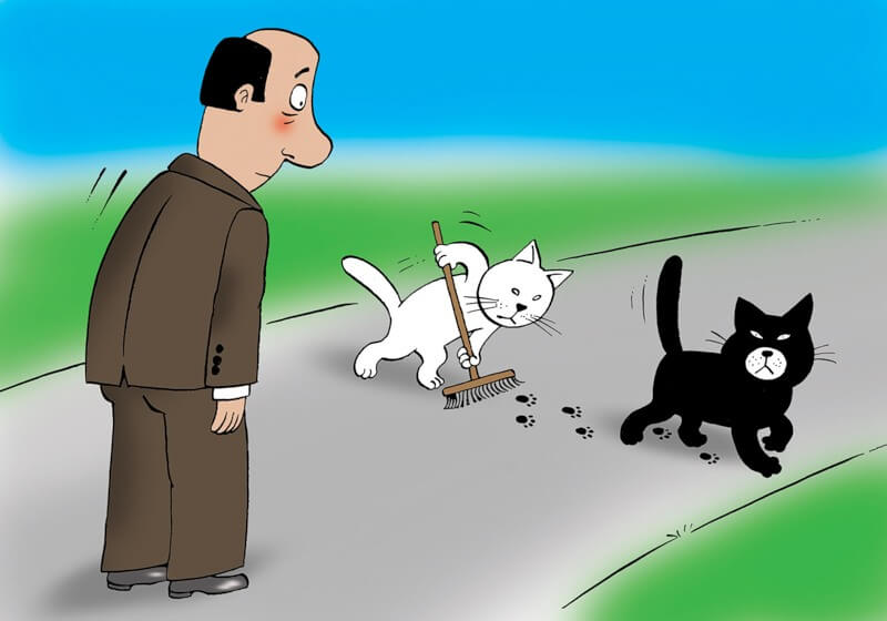 Черная кошка приметы.jpg Черная кошка приметы.jpg